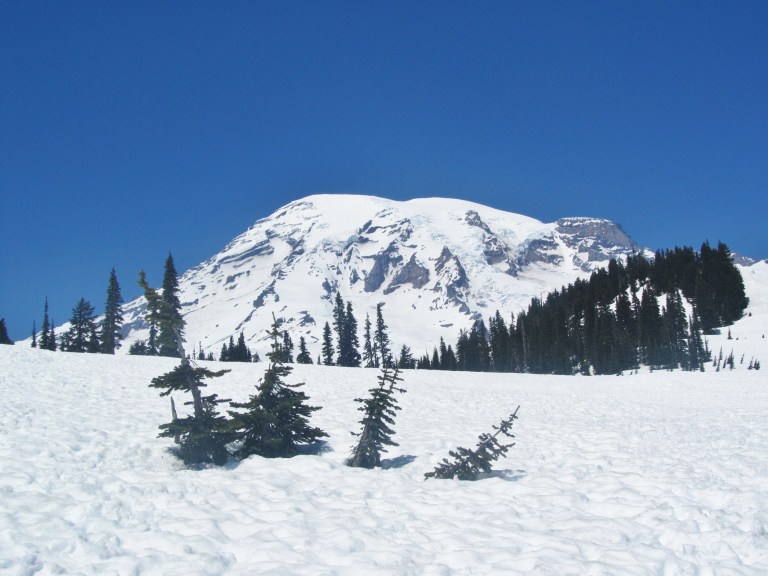 Mount Rainier