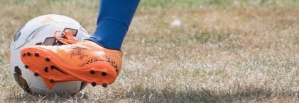 Webp.net-resizeimage